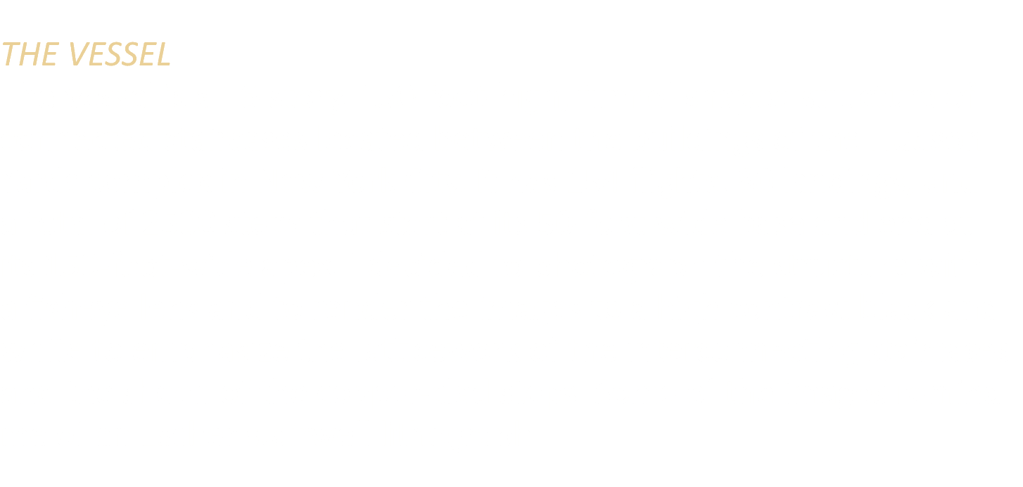 THE VESSEL The Vessel is a 16 story, 150 foot high, funnel shaped structure of connected staircases located between t...