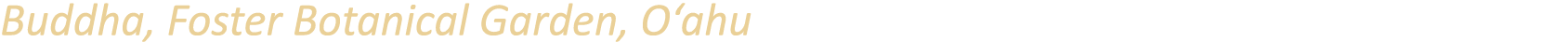 Buddha, Foster Botanical Garden, O‘ahu