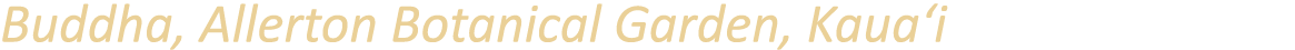 Buddha, Allerton Botanical Garden, Kaua‘i