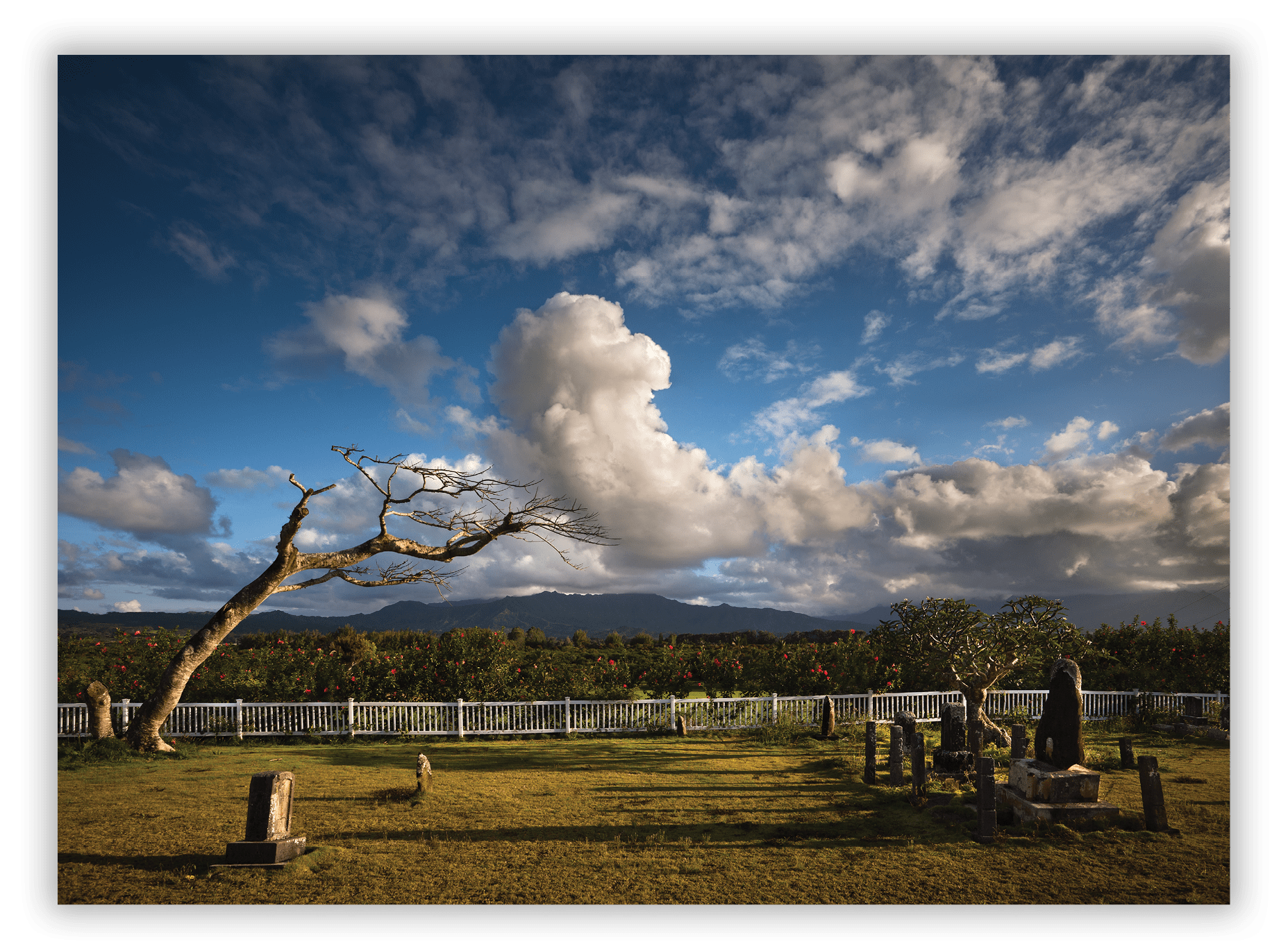 Kilauea Japanese Cemetery