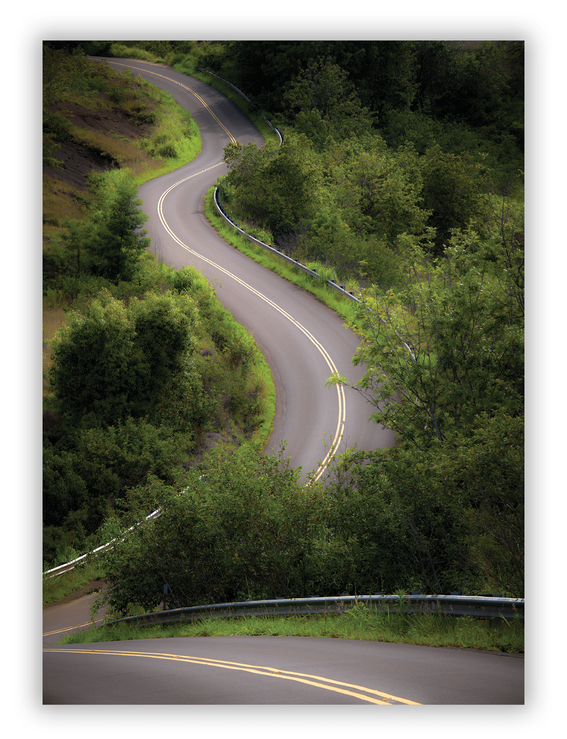 On Waimea Canyon Road