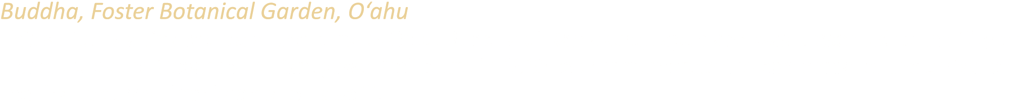 Buddha, Foster Botanical Garden, O‘ahu This statue is a tiny replica of the famous Great Buddha of Kamakura, Japan an...