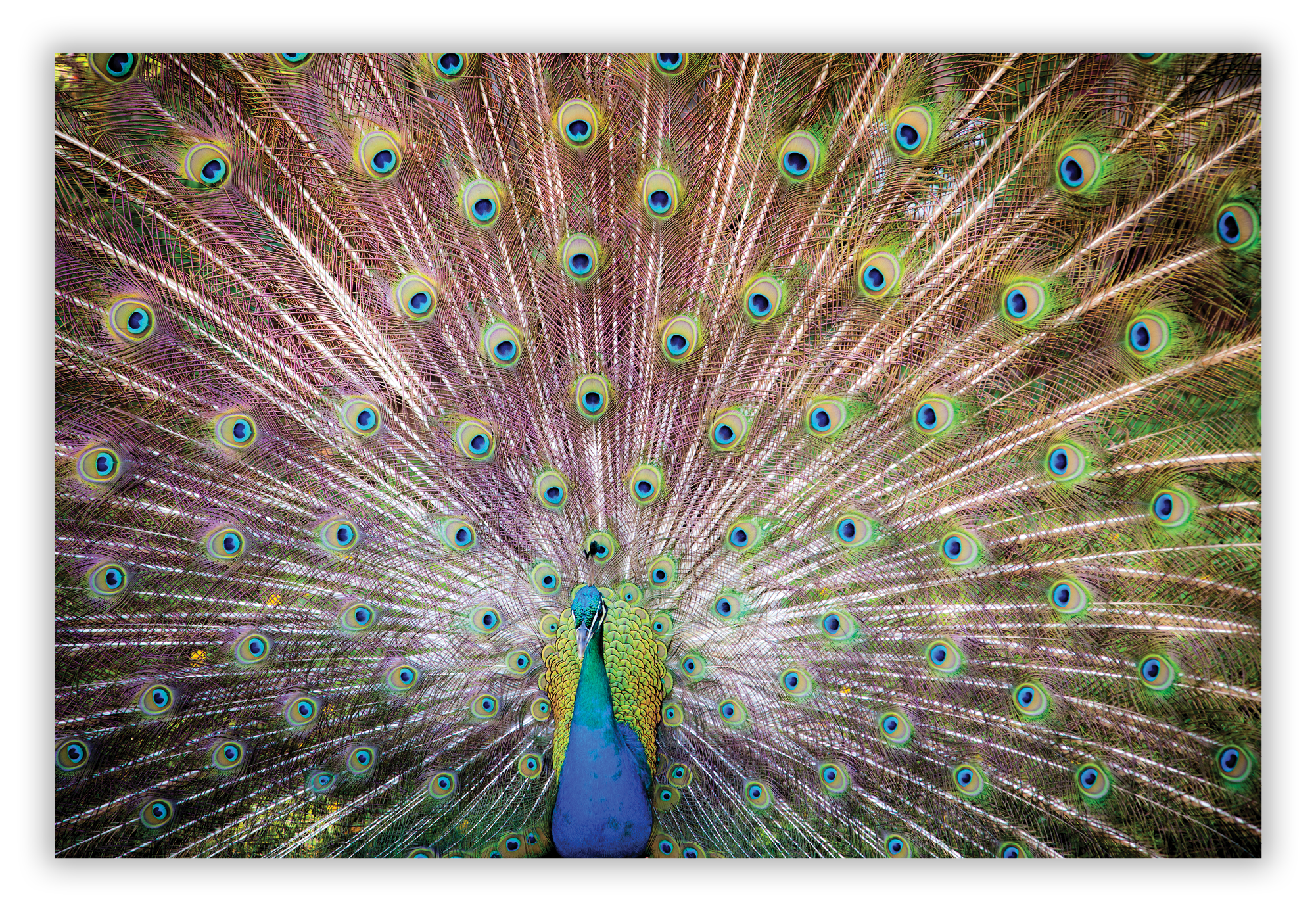 Smith's Tropical Paradise, Wailua, Kaua‘i