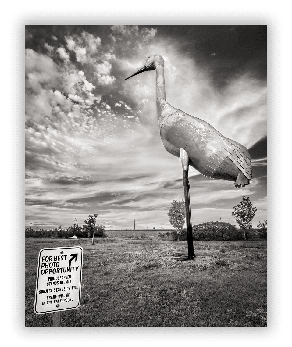 World's Largest Sandhill Crane, Steele, ND