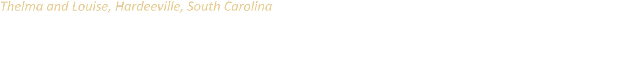 Thelma and Louise, Hardeeville, South Carolina Purchased in Alabama and shipped all the way to South Carolina, these ...