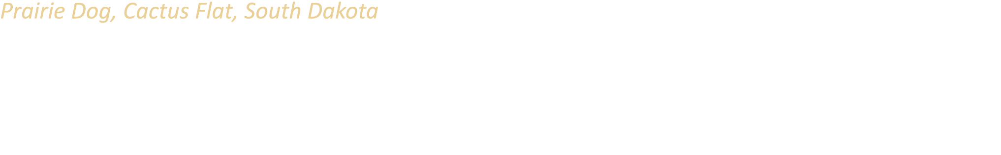 Prairie Dog, Cactus Flat, South Dakota In 1959, artist Harold Zundel built this six ton, 12 foot tall concrete prairi...