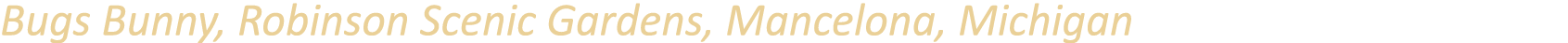 Bugs Bunny, Robinson Scenic Gardens, Mancelona, Michigan