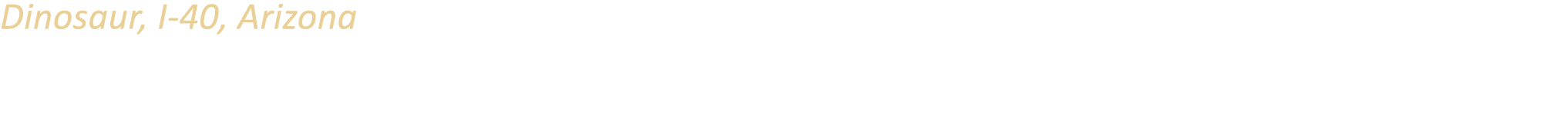 Dinosaur, I-40, Arizona One of several concrete dinosaurs placed along the interstate near Holbrook, Arizona advertis...