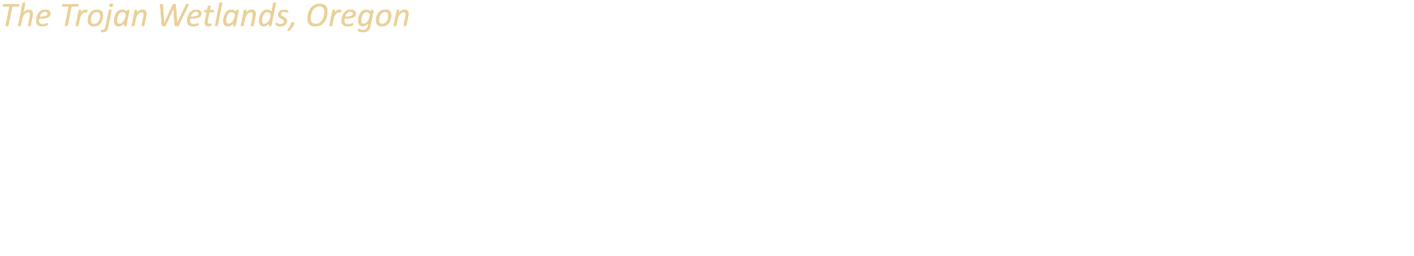 The Trojan Wetlands, Oregon The Trojan Wetlands is composed of one natural and two man made bodies of water on the si...