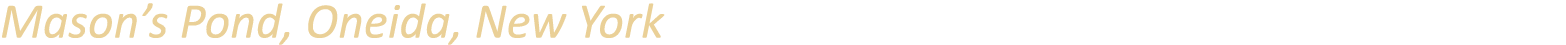 Mason’s Pond, Oneida, New York