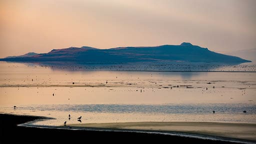 Antelope Island, Utah