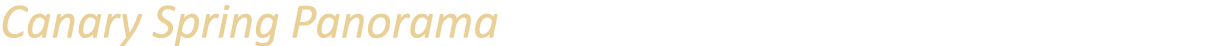 Canary Spring Panorama