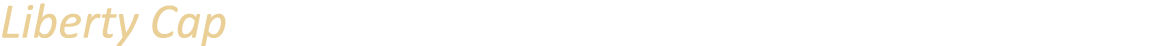 Liberty Cap
