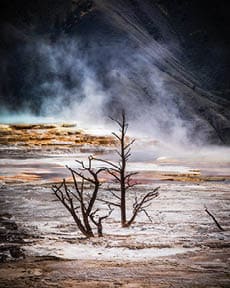 Mamoth Hot Springs Upper Terrace